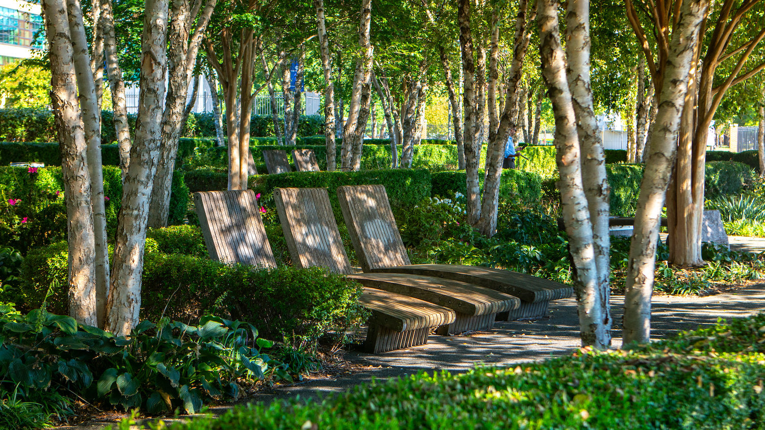 Capitol Riverfront Improvement District seating park plant beds 