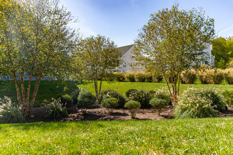 hoa native plants