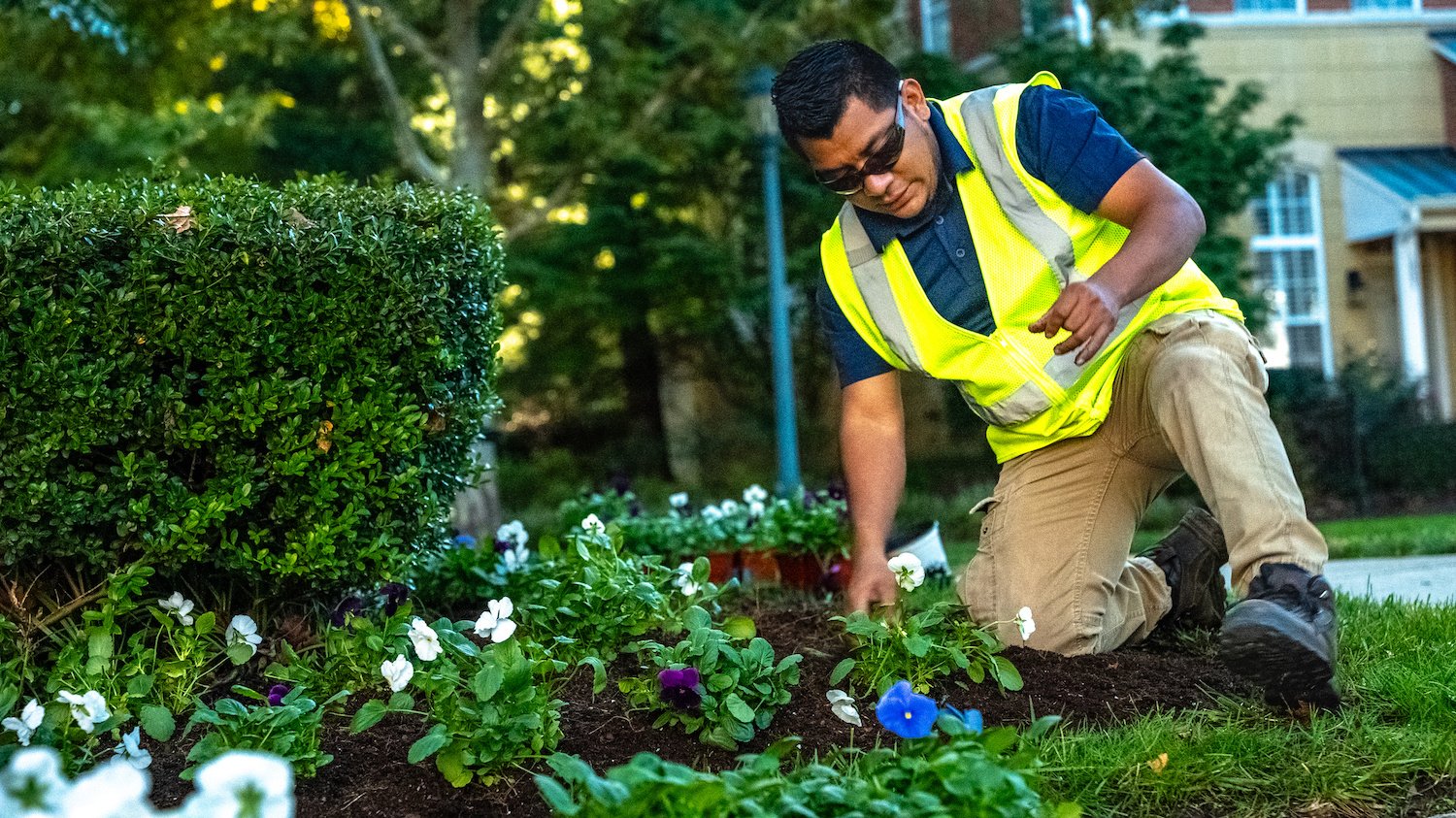 crew planting flowers annuals 