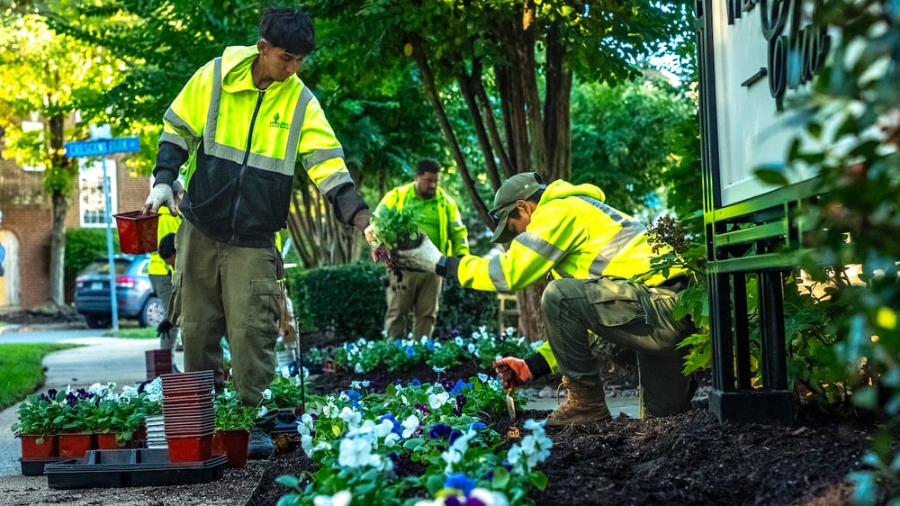 hispanic family landscaping planting flowers
