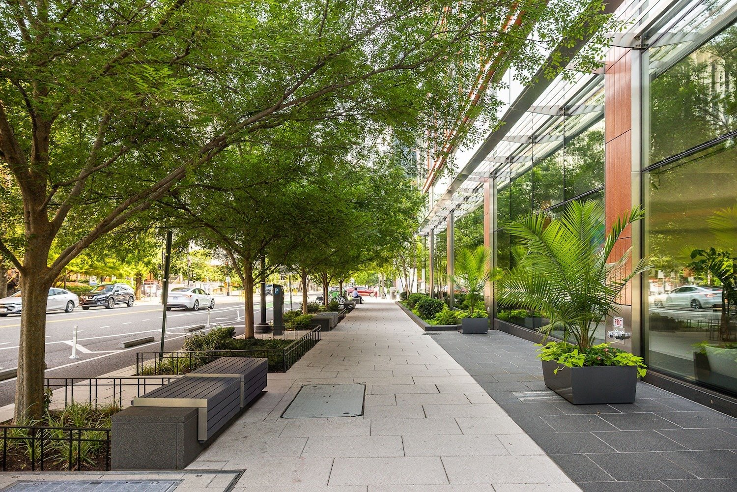 commercial streetscape with planters and trees