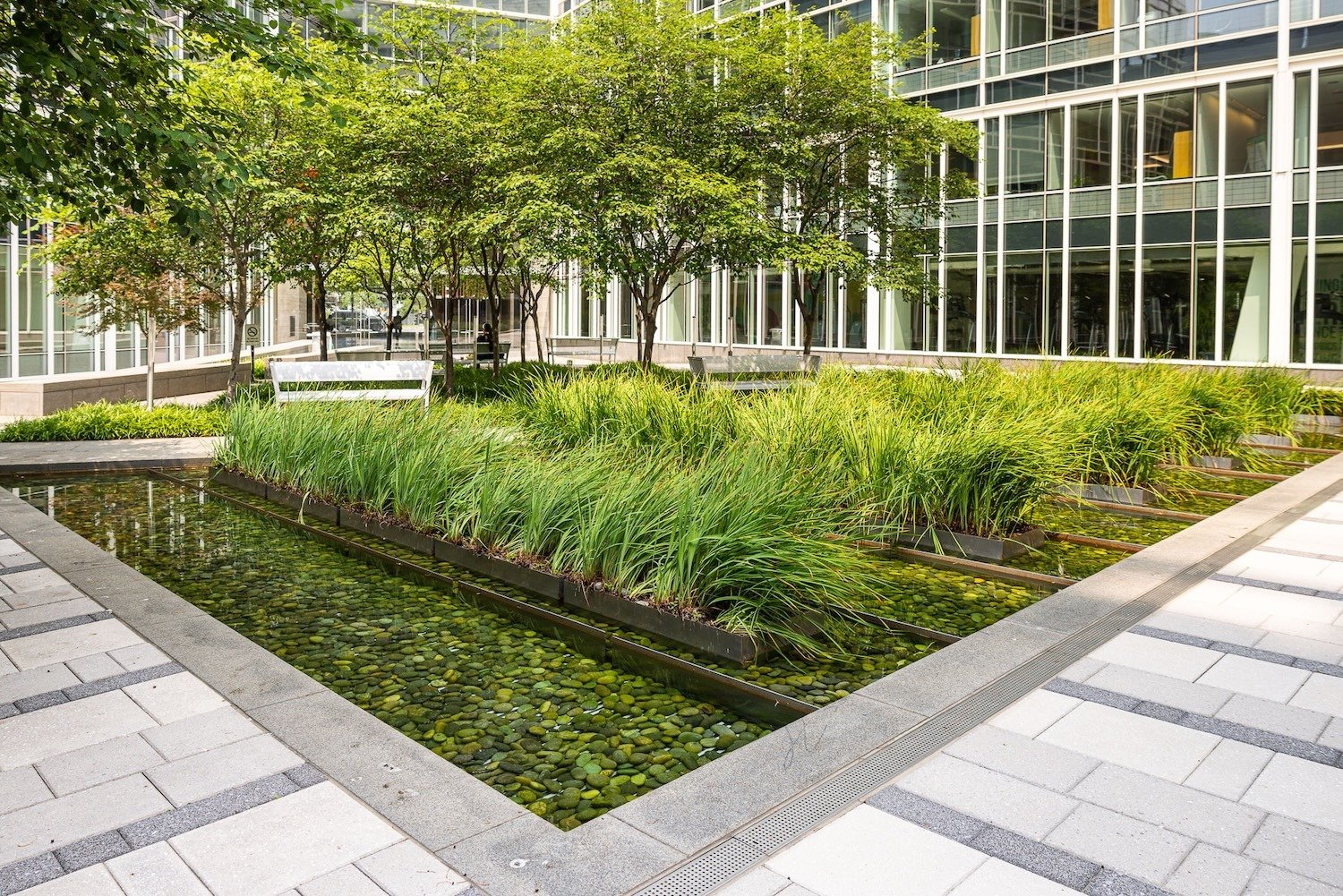 2200 Pennsylvannia pond ornamental grass paver walkway outdoor seating