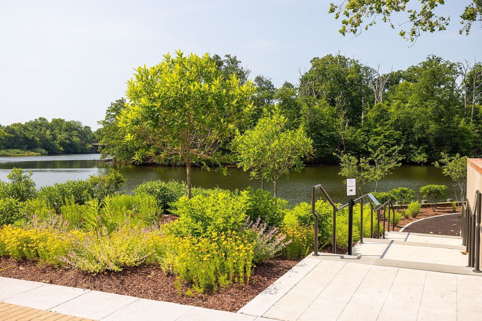 Flugel Alumni Center landscape beds pathway water 3