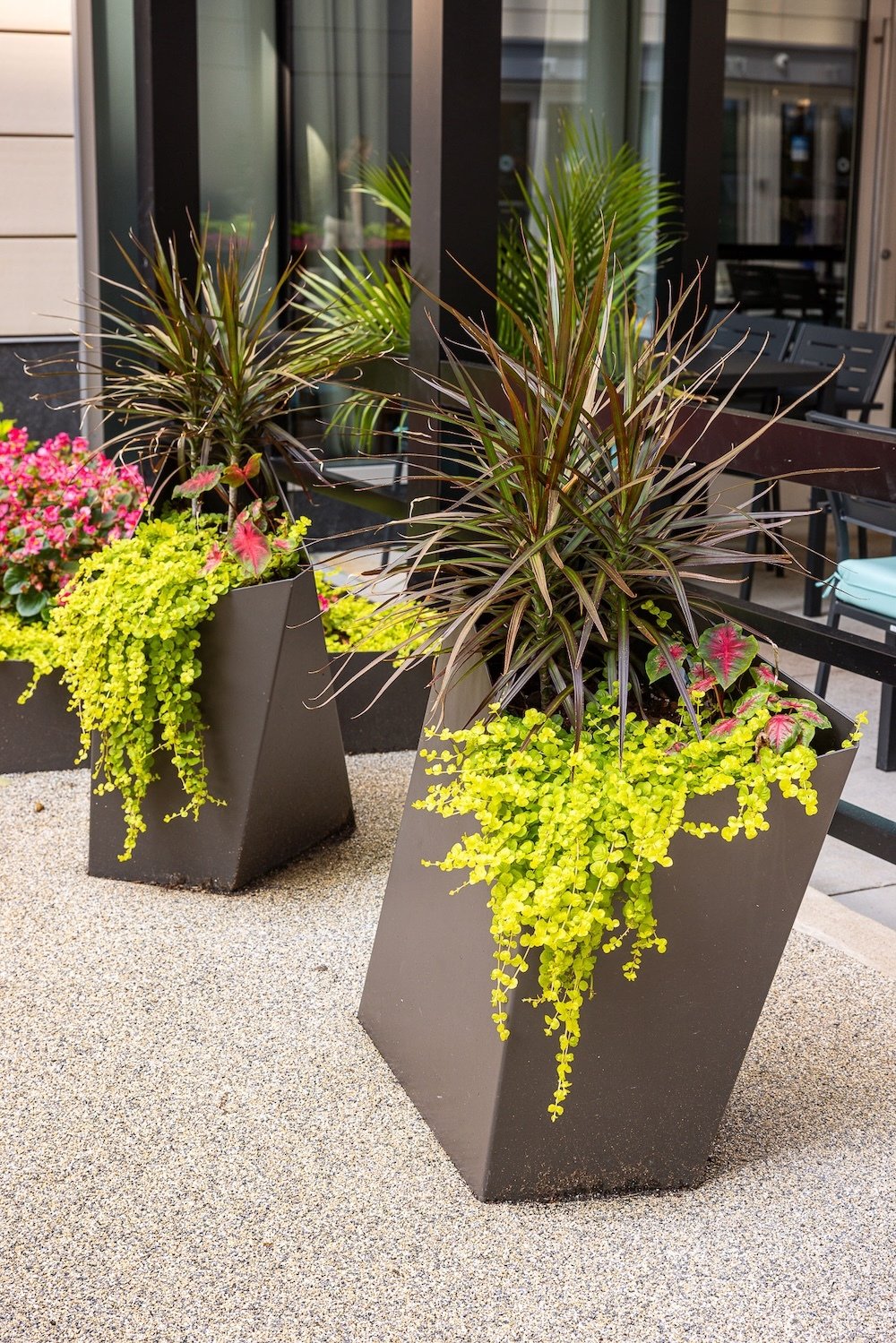 The boro container gardens 
