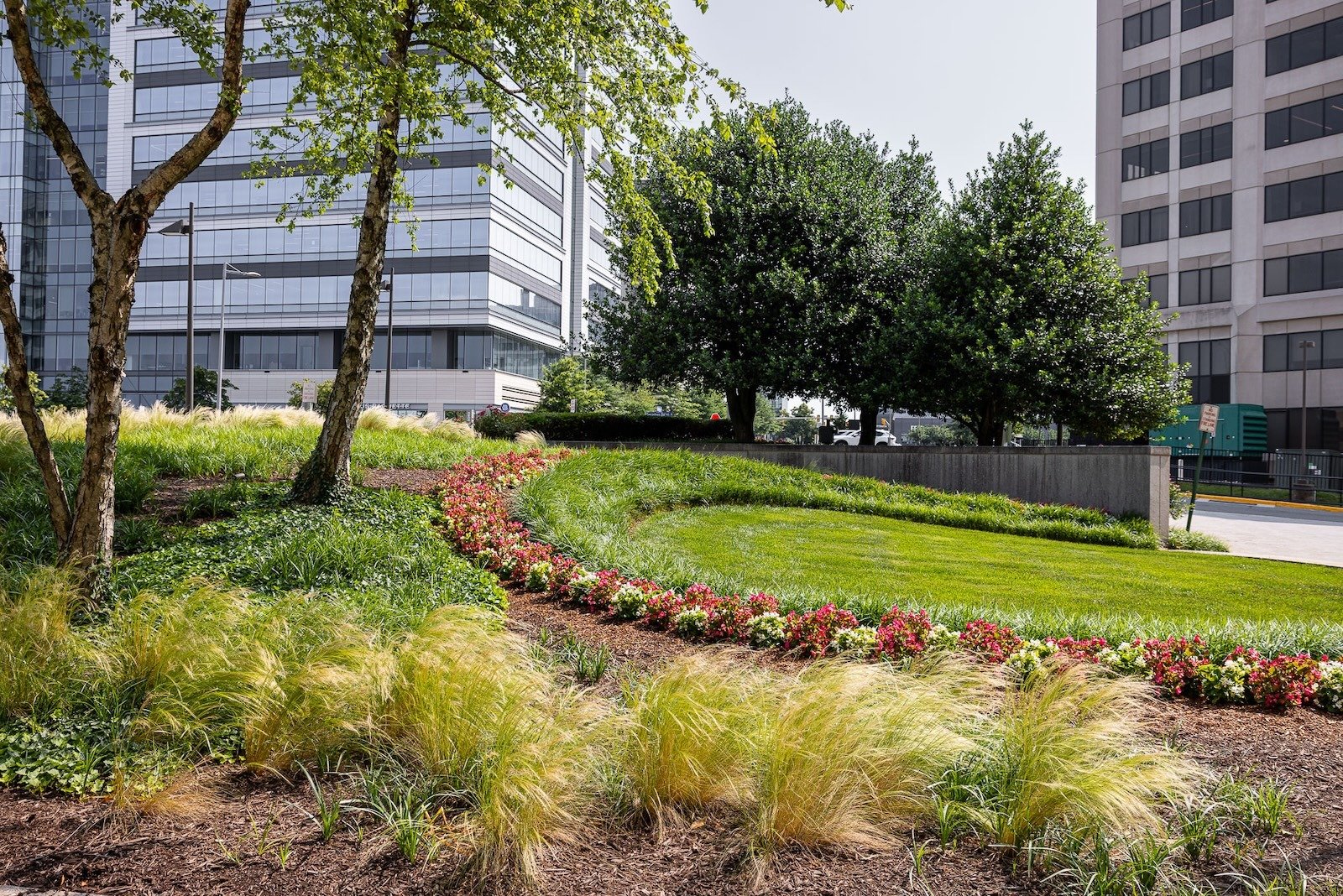landscape beds green lawn on commercial property