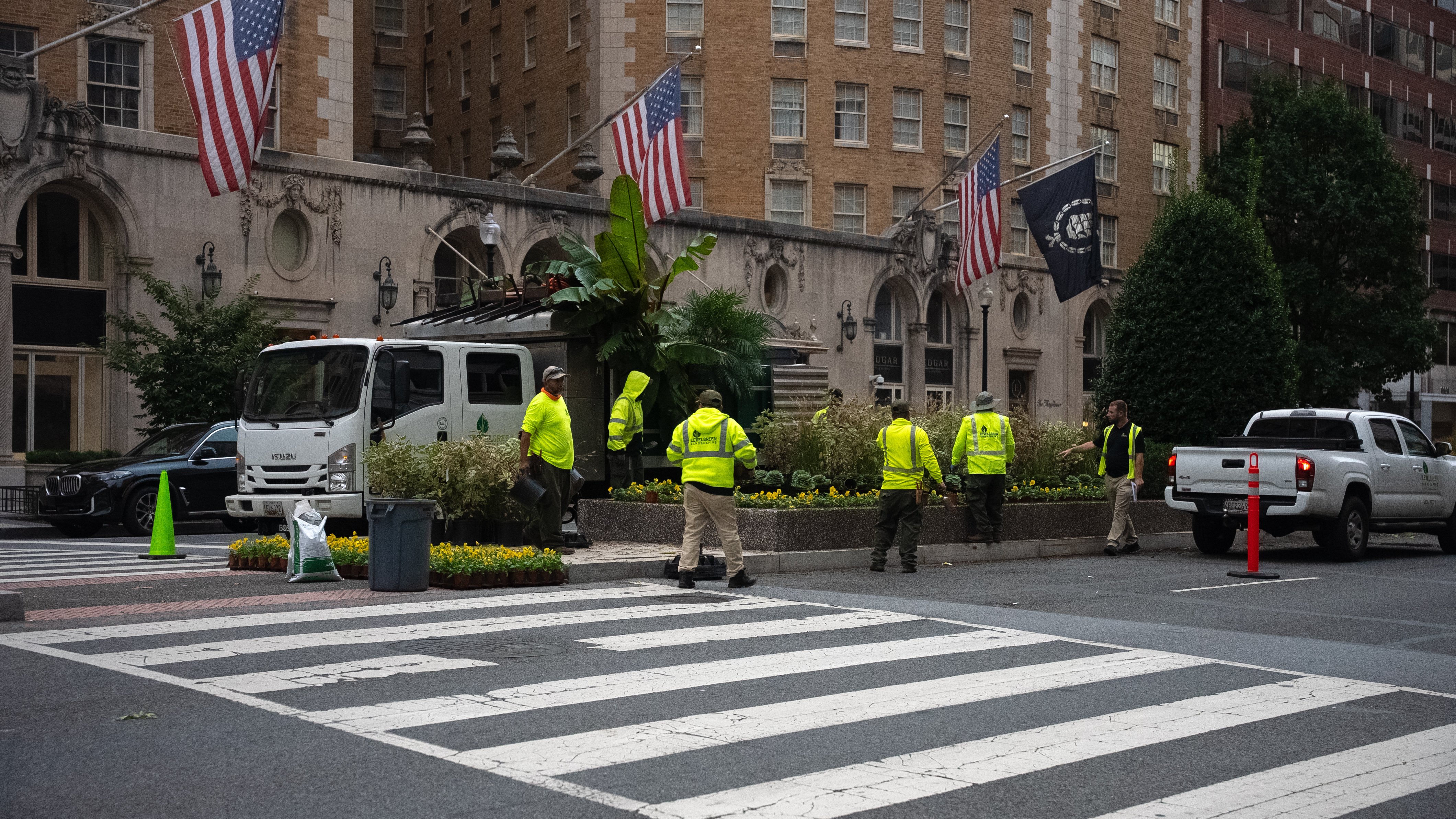 Golden Triange crew planting flower landscape bed median road 2