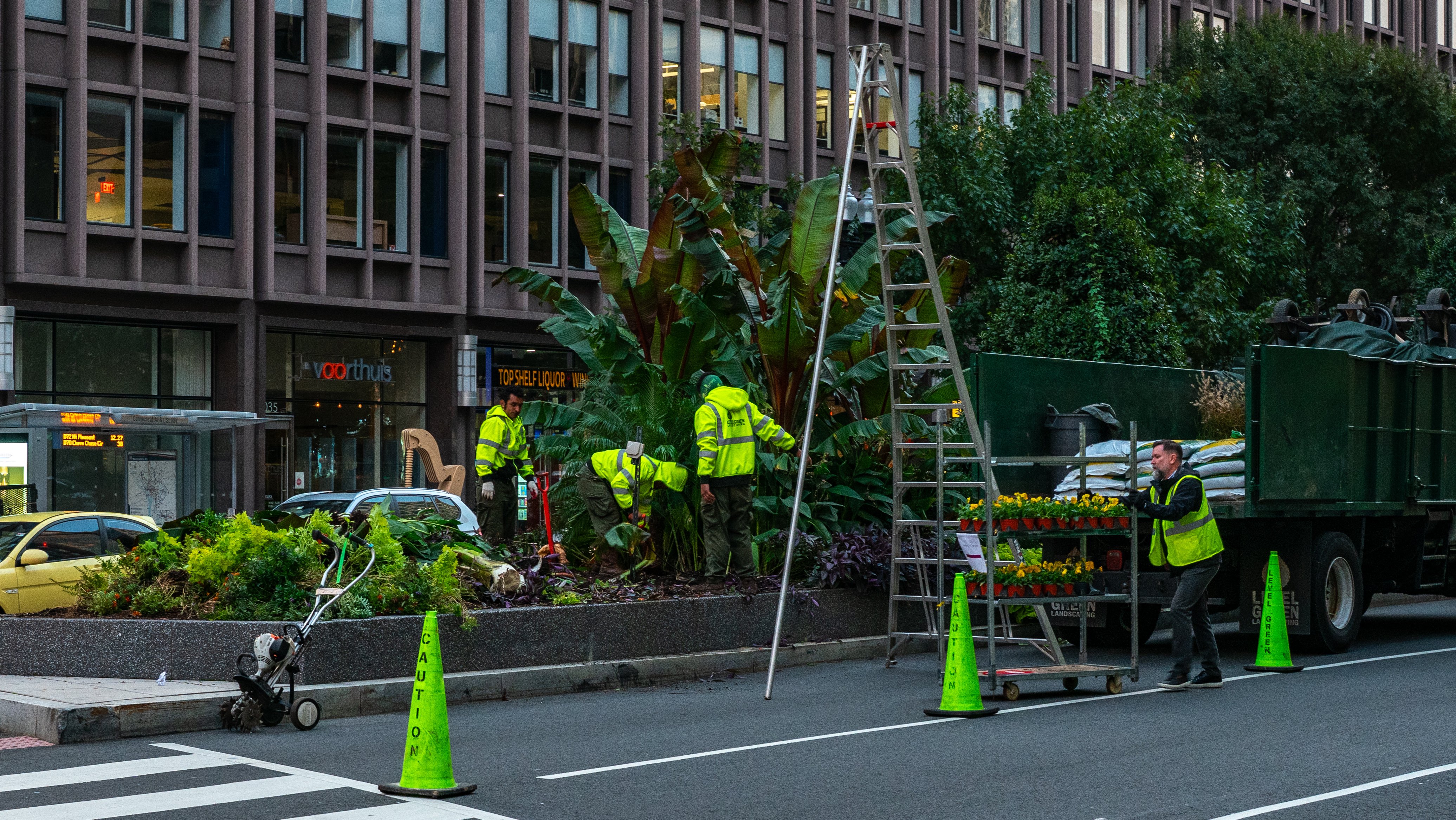 Golden Triangle median road landscape beds maintenance crew planting 1