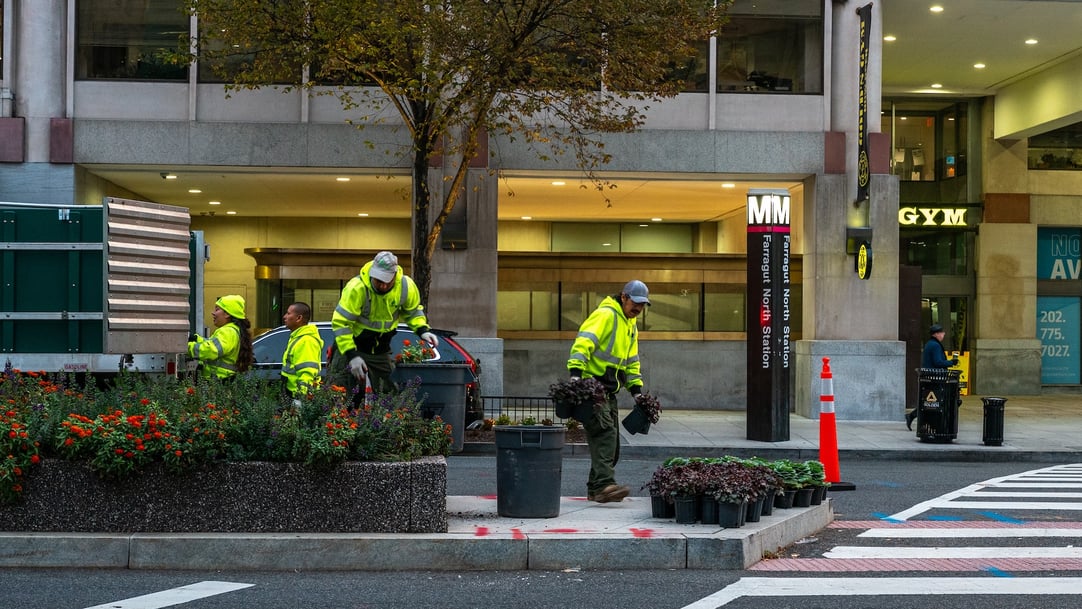 Golden Triangle median road landscape beds maintenance crew planting