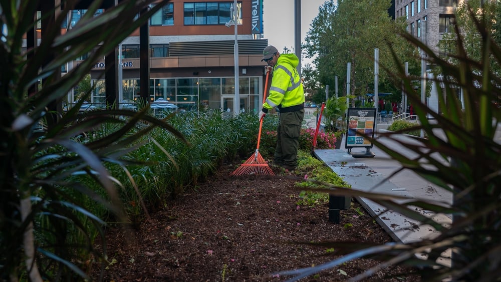 landscape maintenance raking for spring cleanup