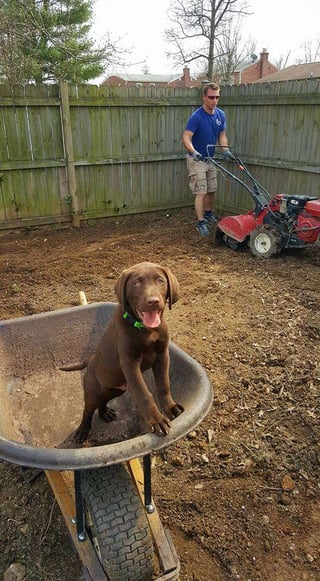 James in lawn with dog