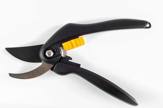 dormant pruning benefits dormant pruning benefits