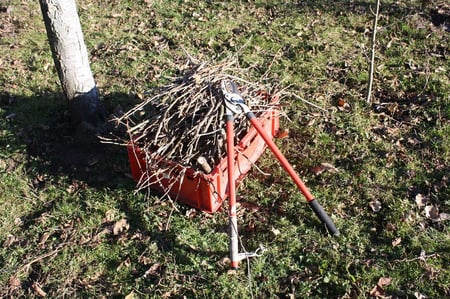 pruning pruning