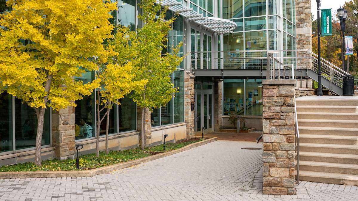 trees near building in fall