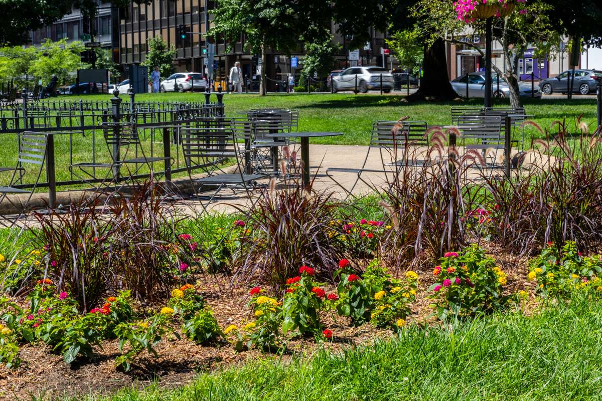 Golden Triangle enhancment annual garden 