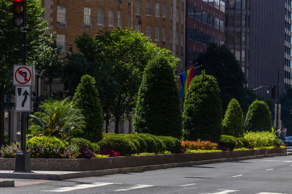 Golden Triangle enhancment median planter box