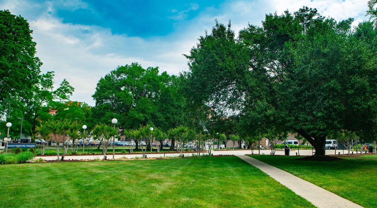 grass area in front of howard university hospital