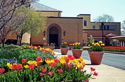Franciscan Monestary spring tulips