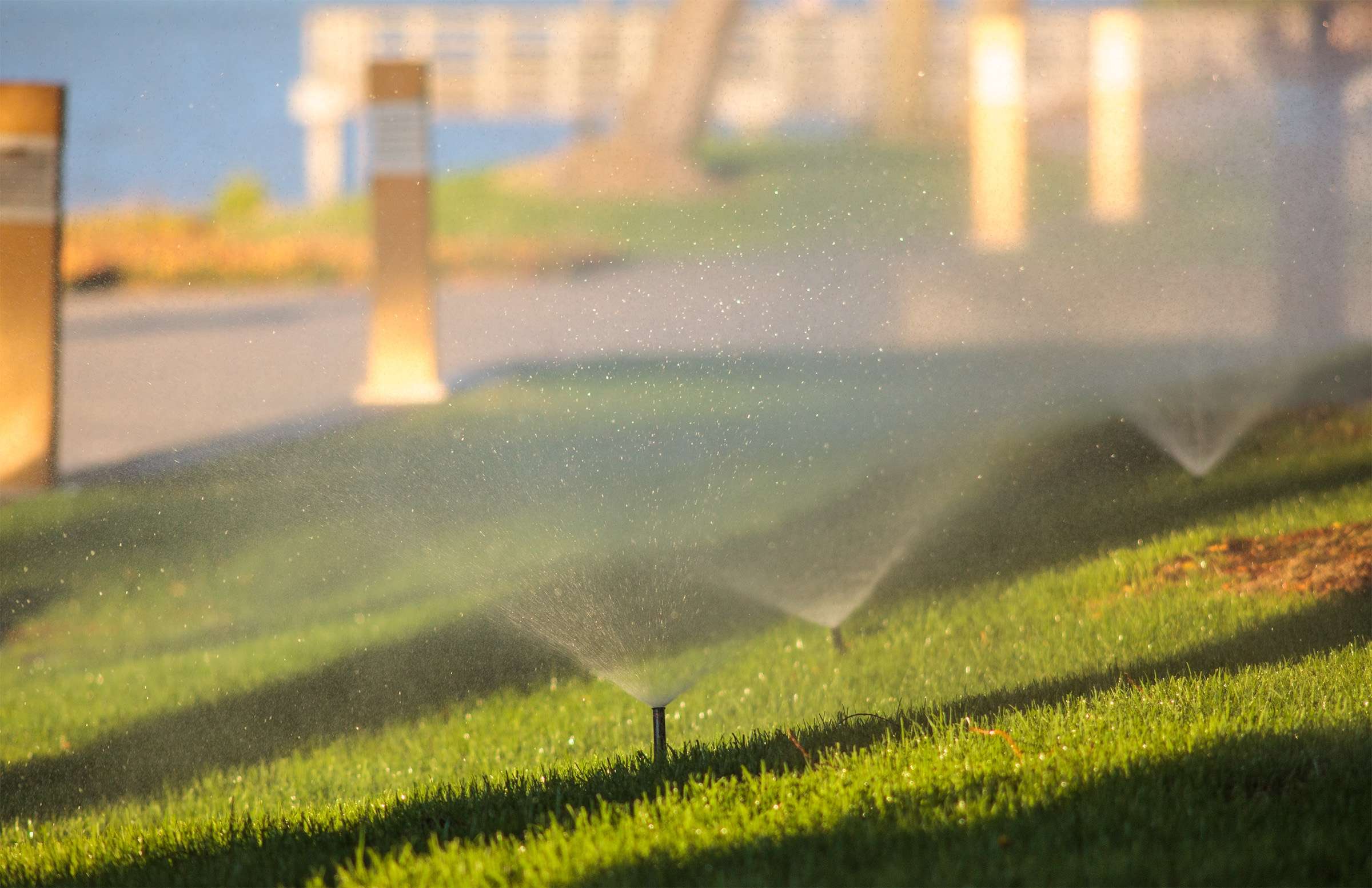 sprinklers water grass irrigation