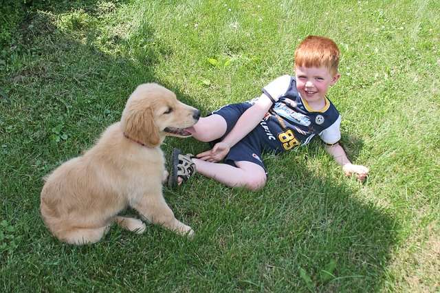 Dog and kid in lawn