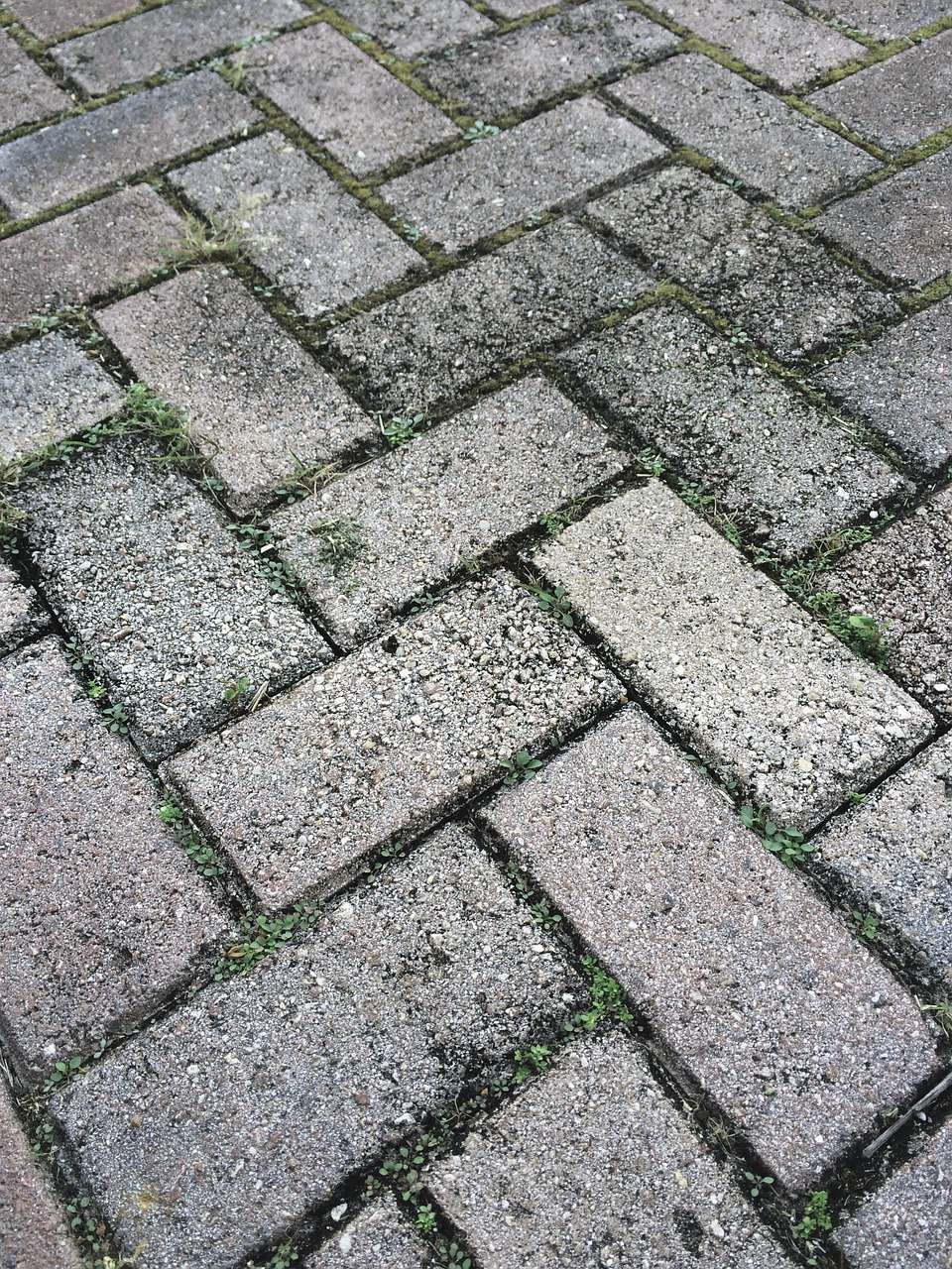 paver driveway herringbone