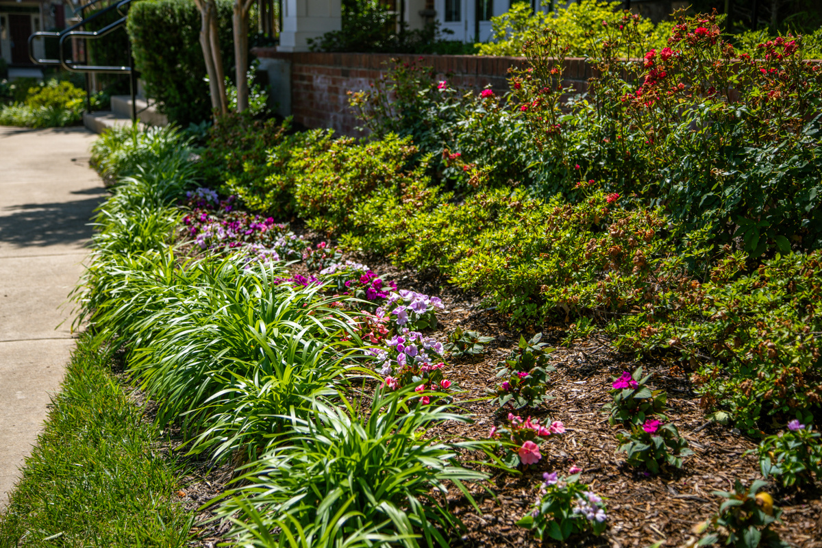 Moorefield Green HOA landscape enhancement plants 2