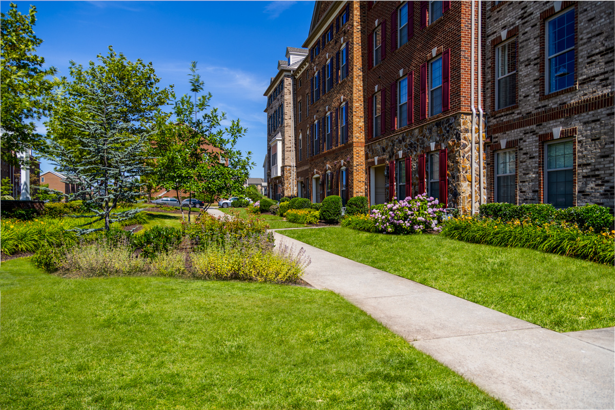 Moorefield Green HOA landscape enhancement plants along townhomes 1