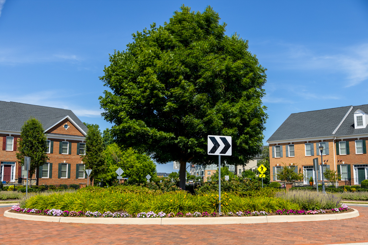 Moorefield Green HOA landscape enhancement plants circular drive 1