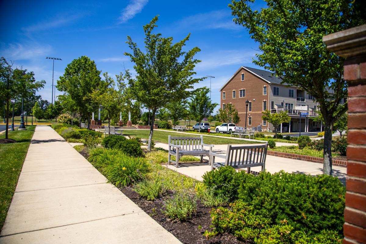 Moorefield Green HOA landscape enhancement plants walkway