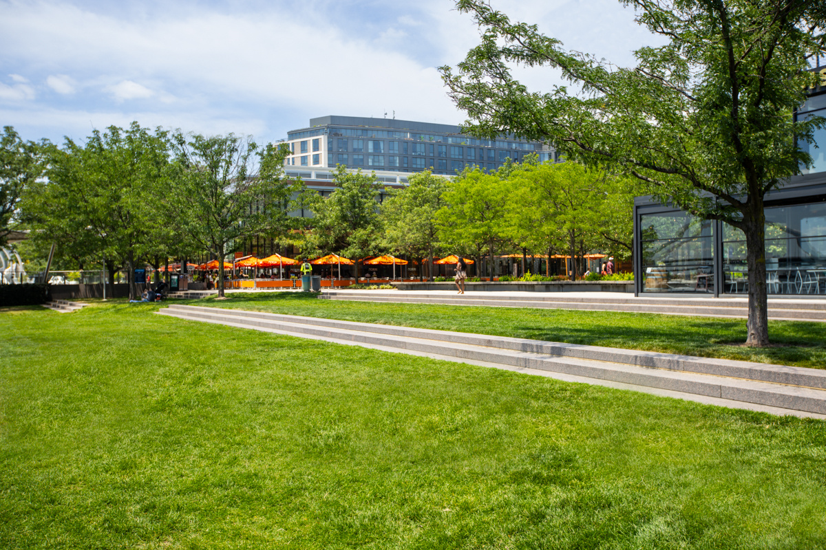 Navy Yard enhancement beauty shot trees grass lawn area 