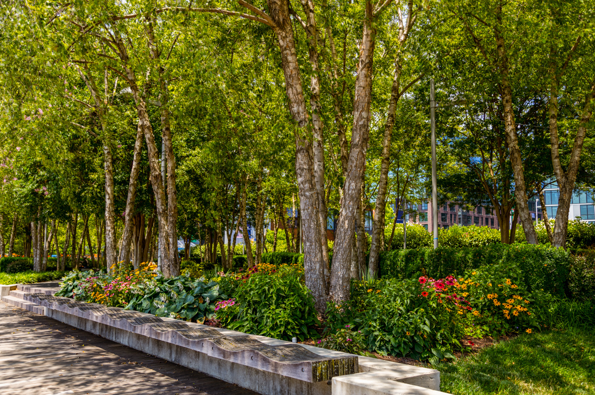 Navy Yard enhancement beauty shot trees plants walkways 