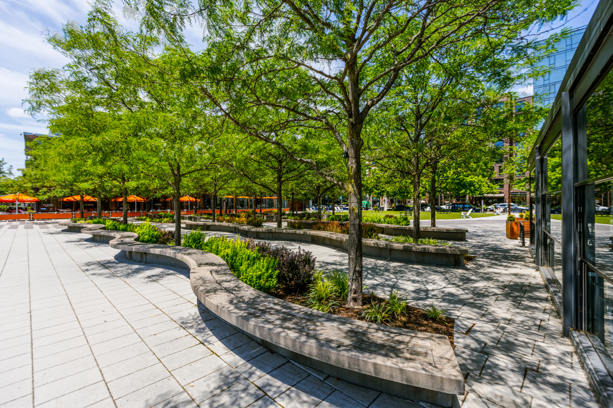 Navy Yard enhancement beauty shot trees plants walkways 5