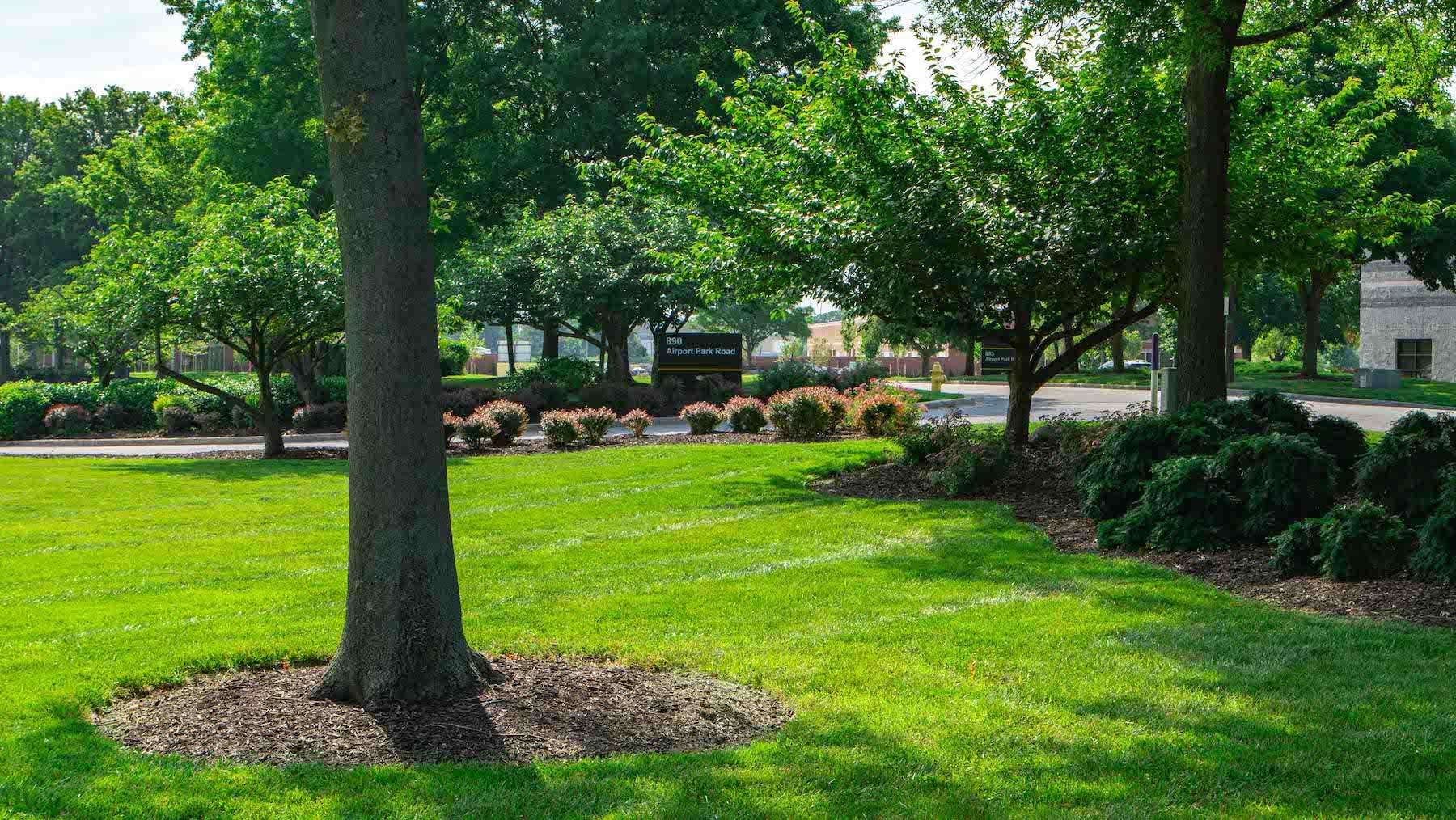 Airport-park-office-grass trees plantings