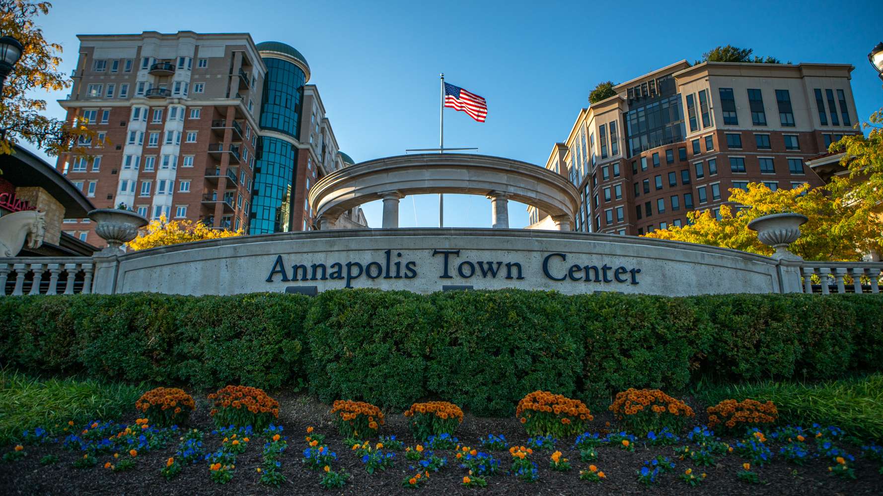 Annapolis Town Center Shopping Sign Annual planting landscaping flowers mums pansies