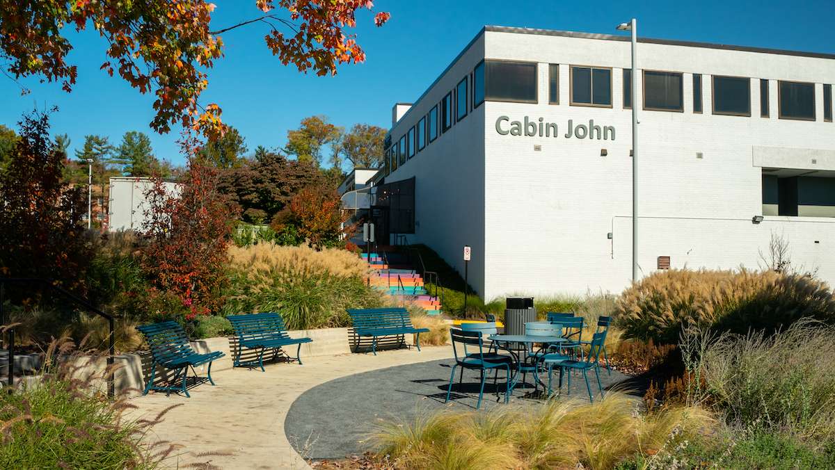 Cabin-John-building seating common area ornamental grasses plantings