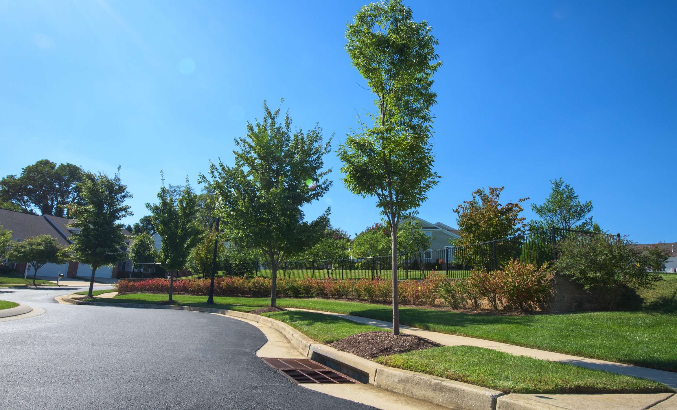 HiddenBluff hoa condo roadway trees sidewalk plantings
