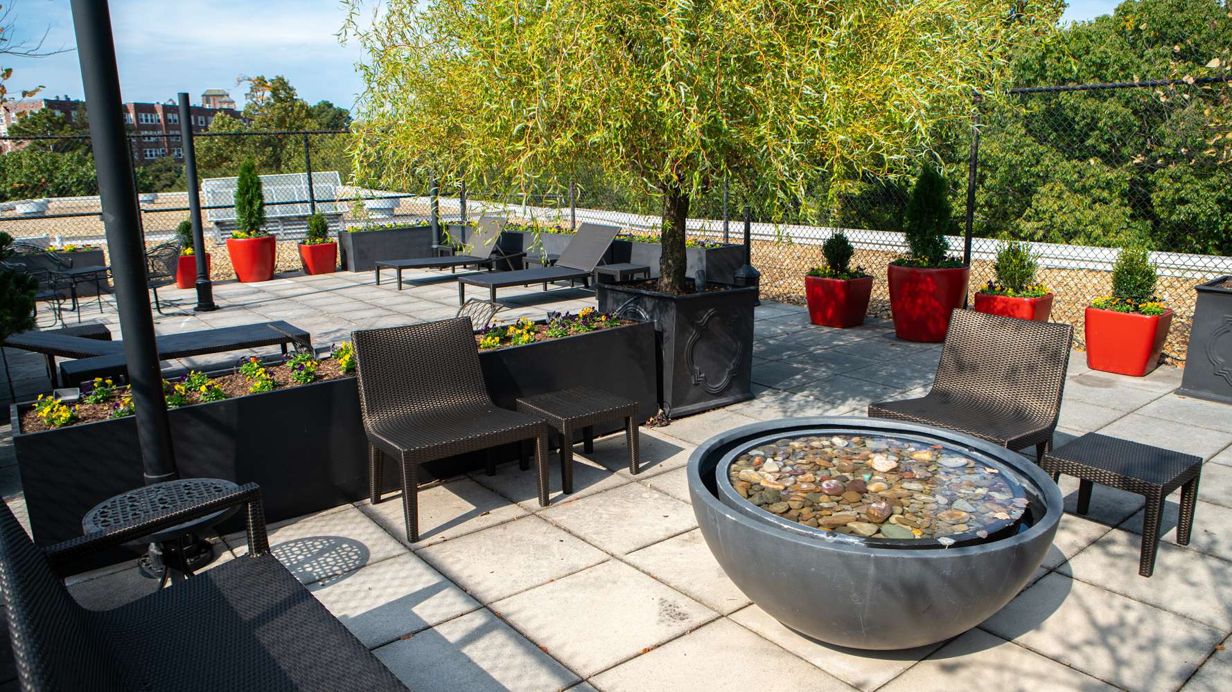 LevelGreen Commercial Roof top garden fountain Container gardens trees shrubs paver patio green roof