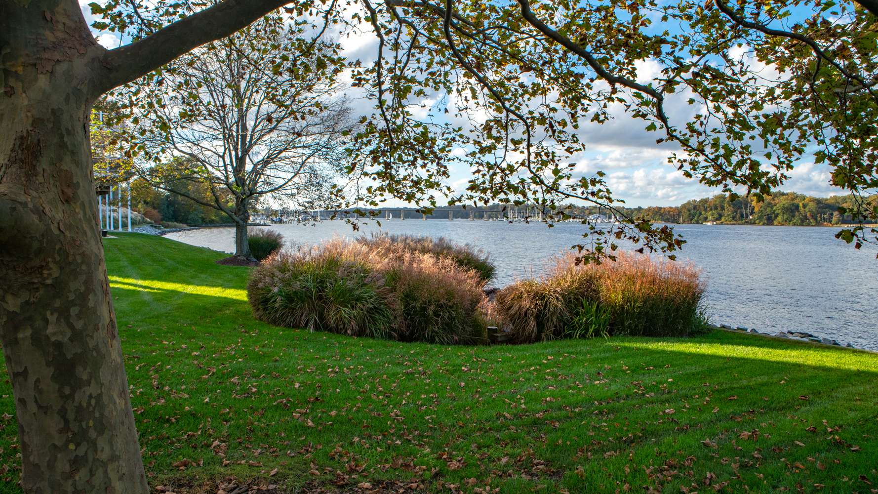 The Role of Chesapeake Bay Landscape Certified Professionals