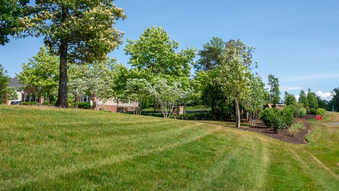 Loudoun Meadows HOA commercial landscaping lawn