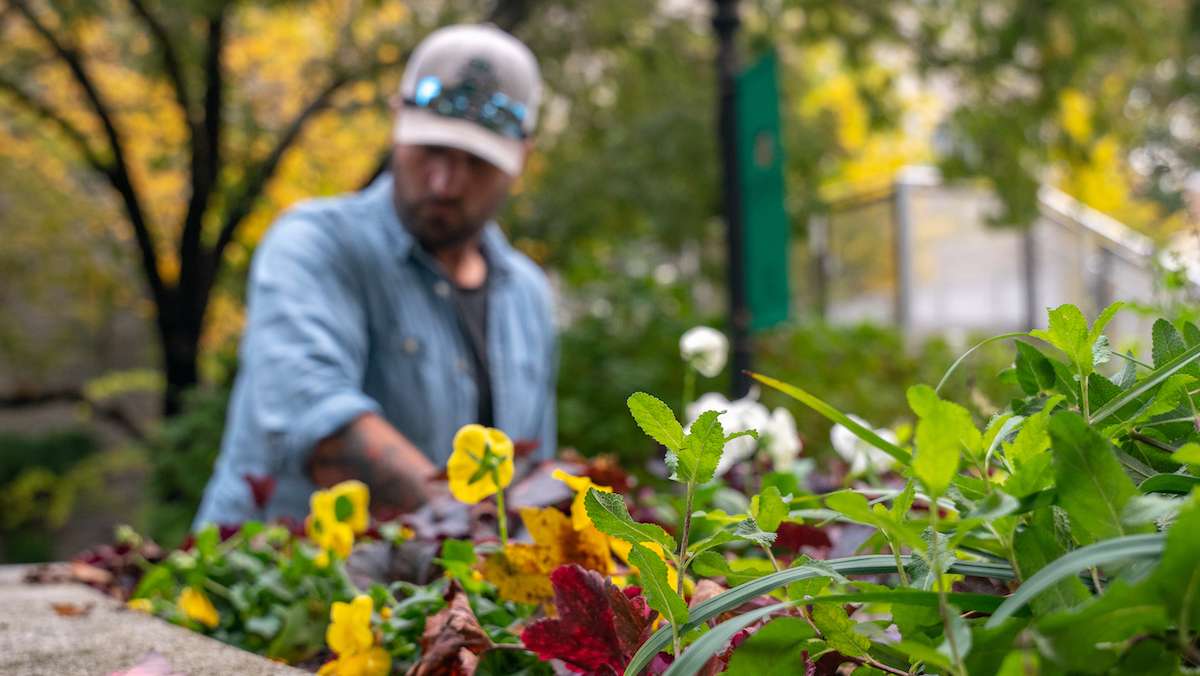 Loyola-client-seasonal-flowers