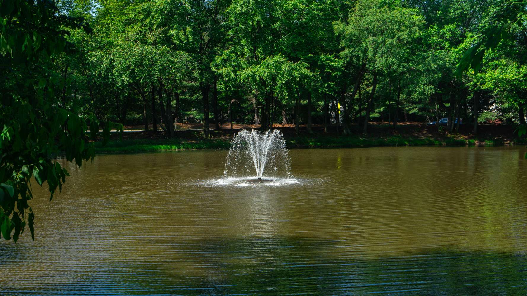 Pond, water, fountain 2