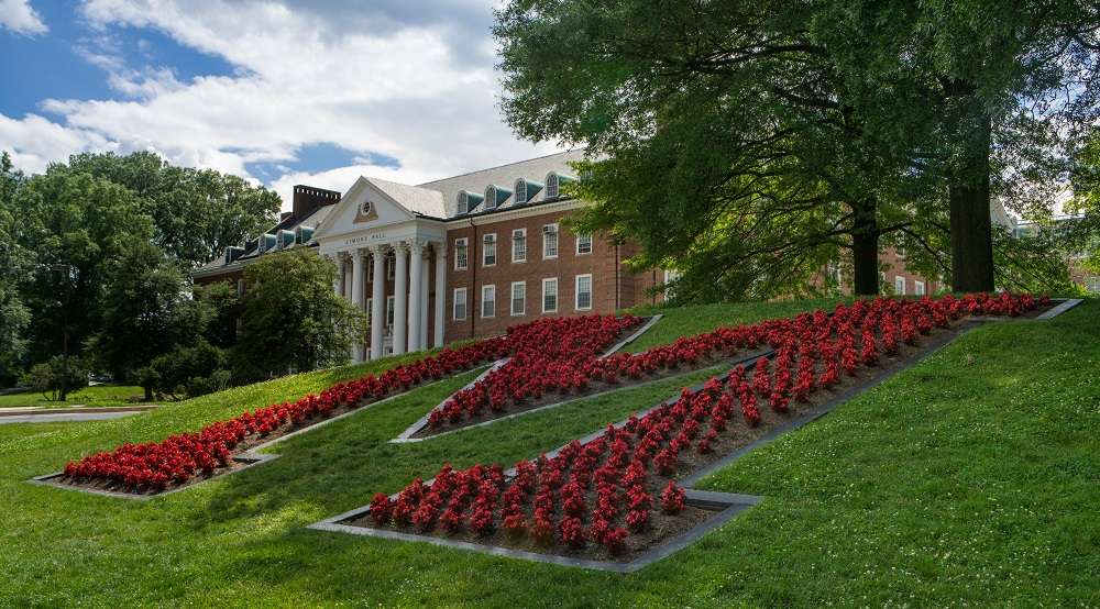 University of Maryland college flowers annuals plantings