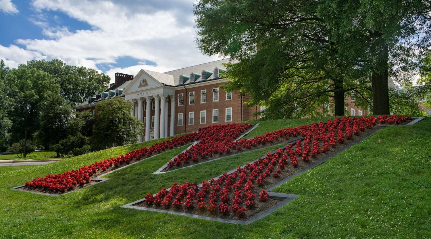 University of Maryland-college flowers annuals