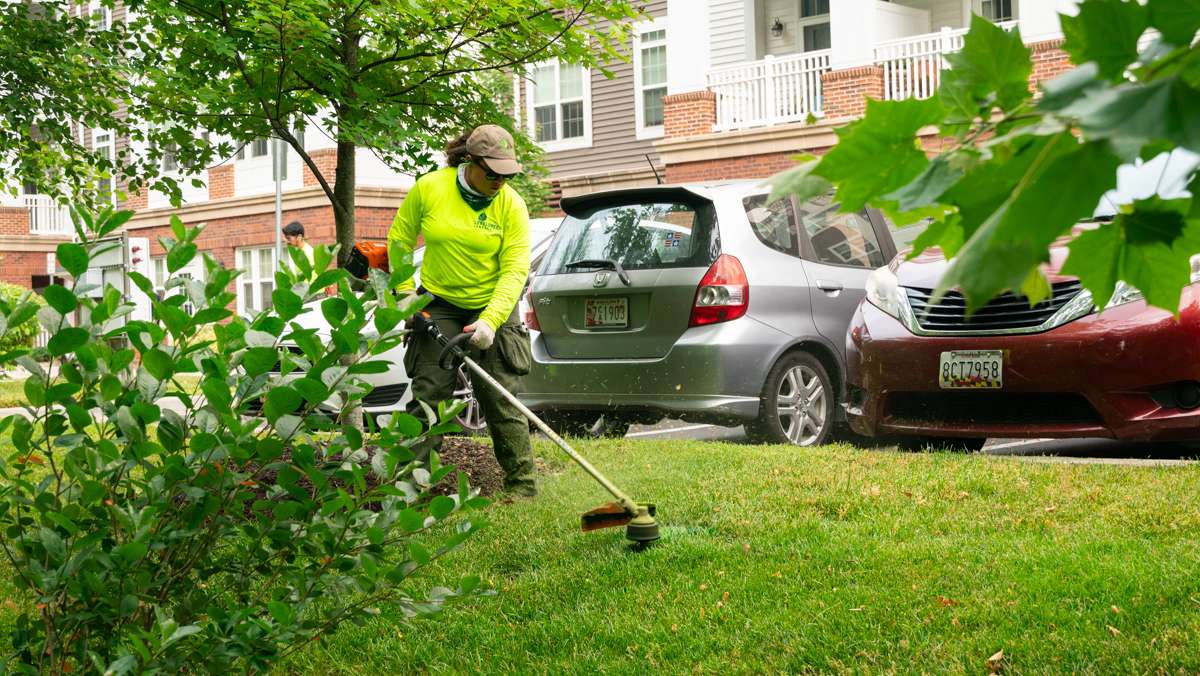 commercial landscaping crew string trimming lawn 5