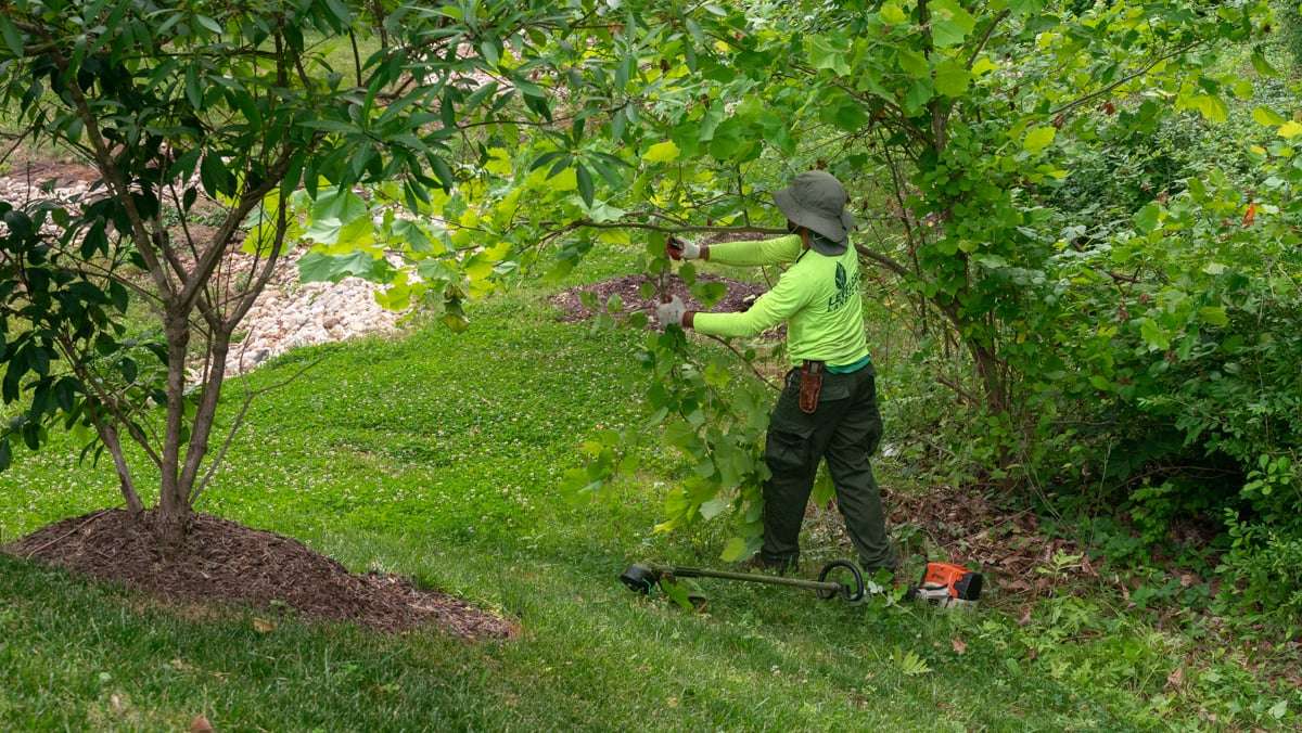 commercial landscaping crew trimming bushes 1