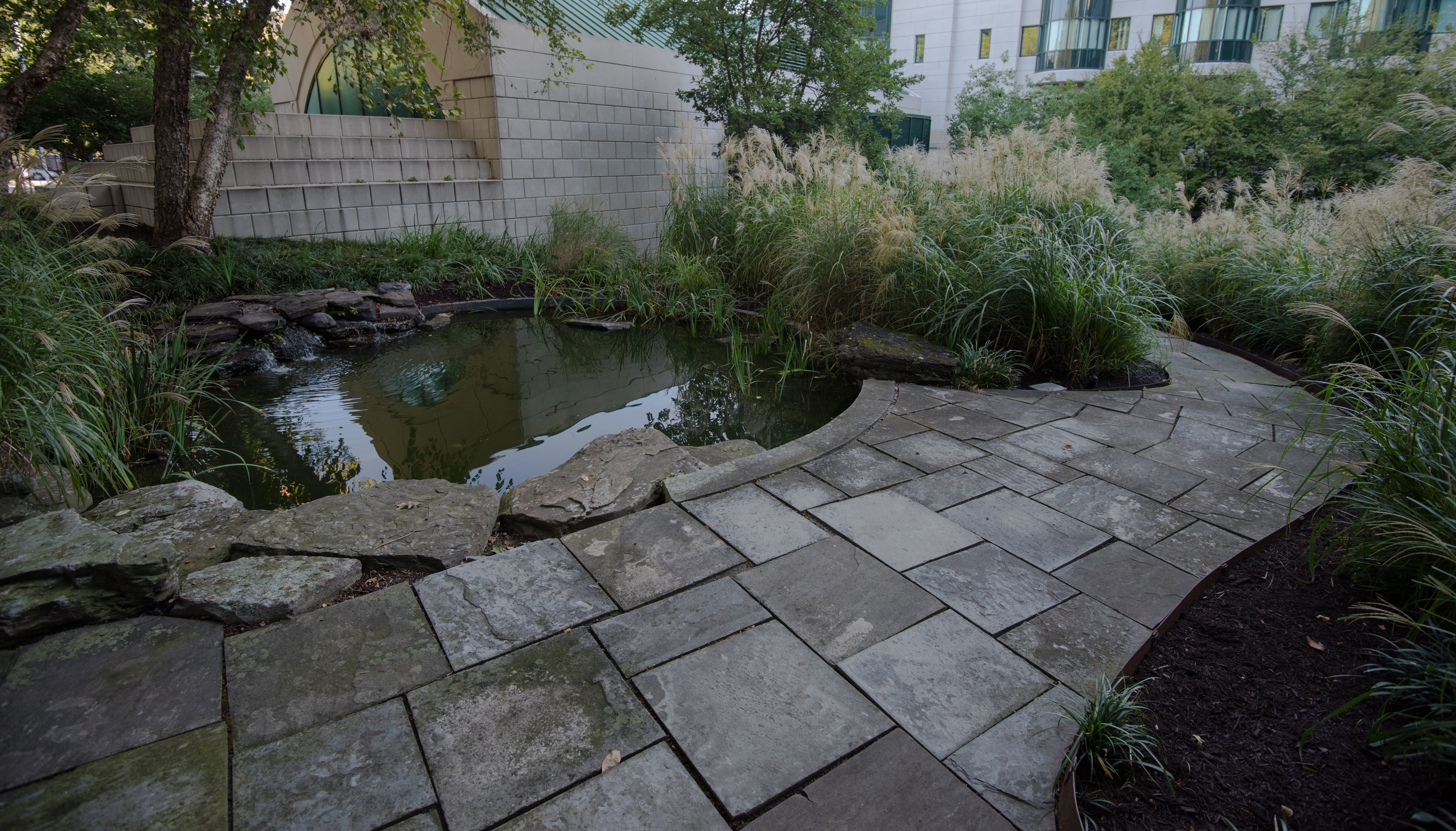 paver walkway ornamental grasses pond water feature