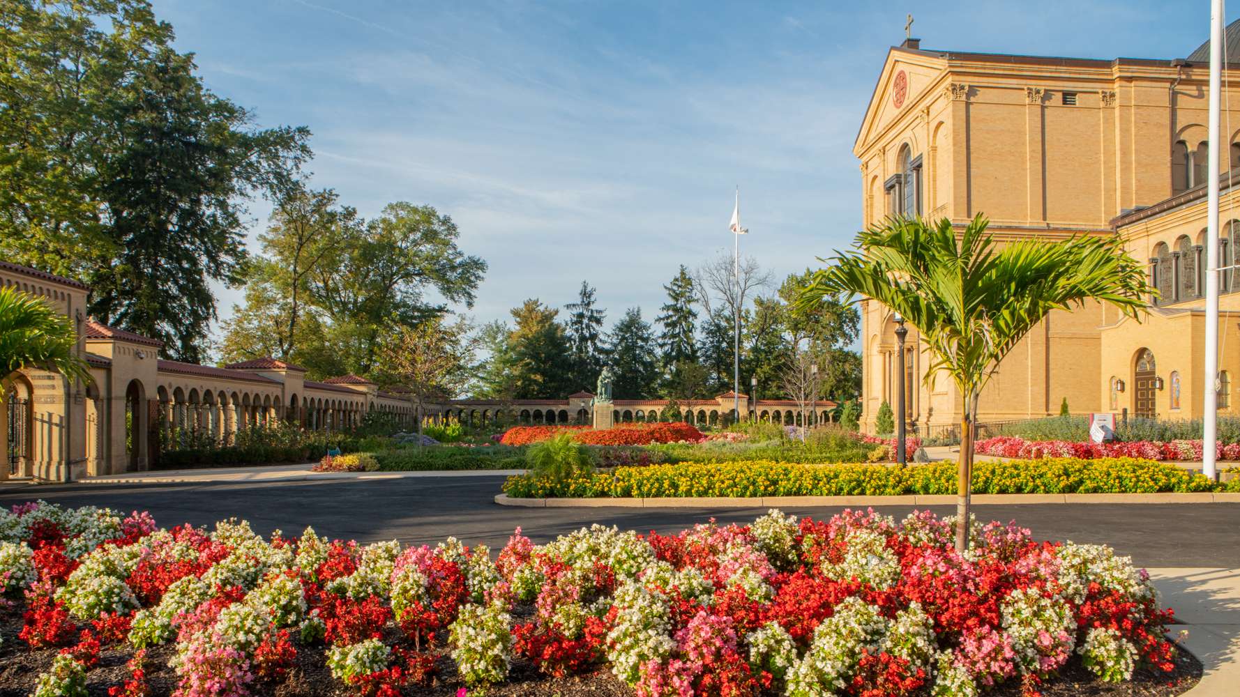 plants-gardens-flowers-begonias-walkway-commercial-property