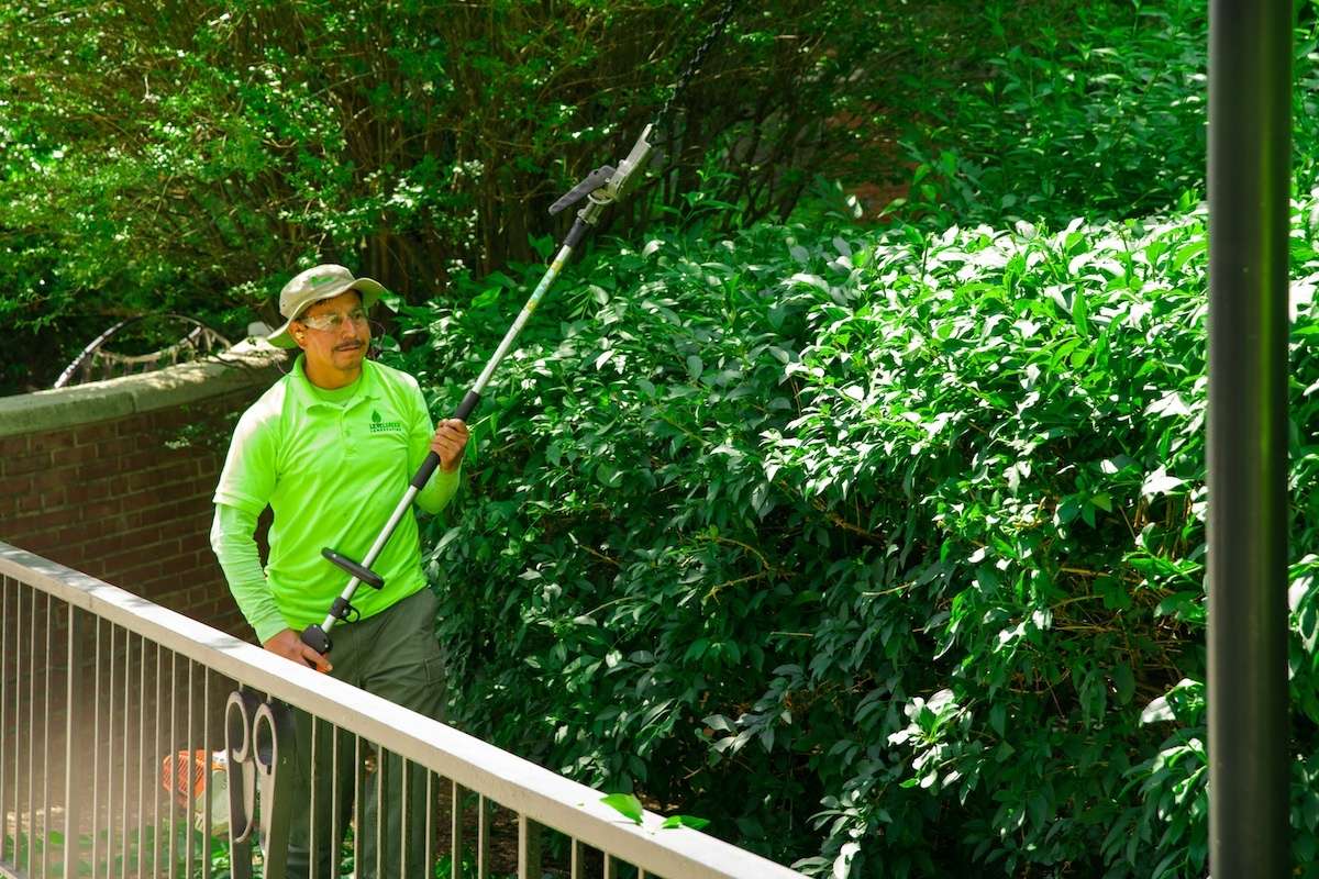 landscape maintenance carries edger pruner pruning