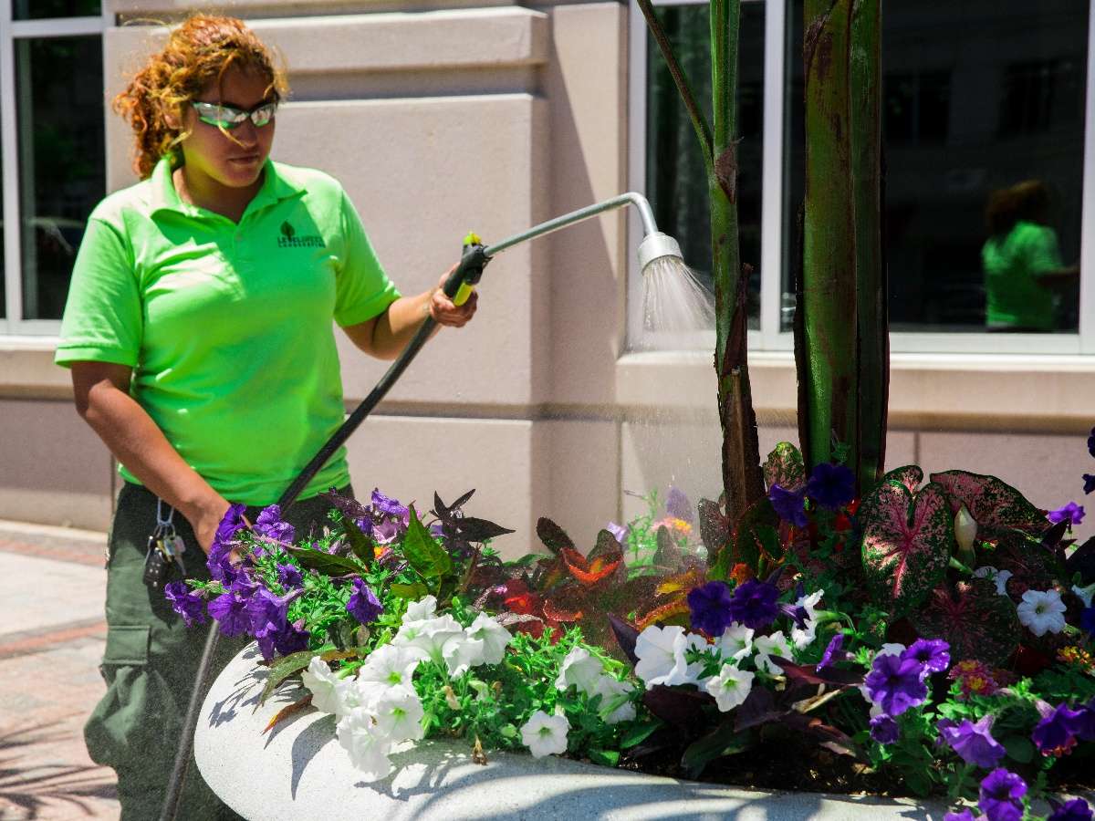 landscape maintenance crew watering annual flowers