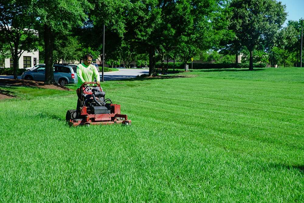 lawn mowing grass