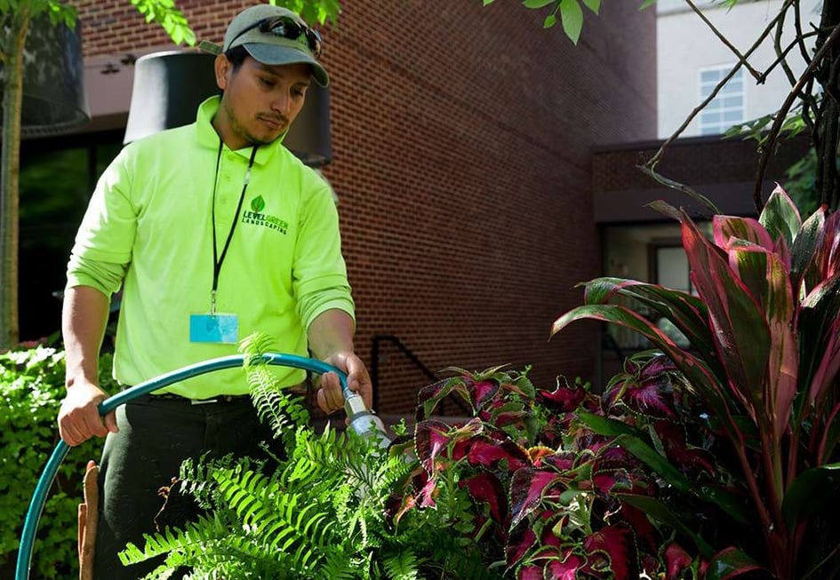 maintenance team waters container garden planters